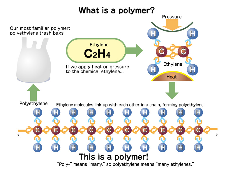 illust: What is a polymer?