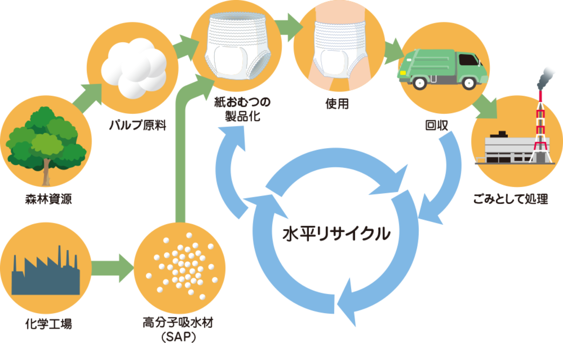 森林資源から作られたパルプ原料、化学工場で作られた高分子吸水材（SAP)からできた紙おむつを使用後に回収し、再び紙おむつとして利用する水平リサイクルの図