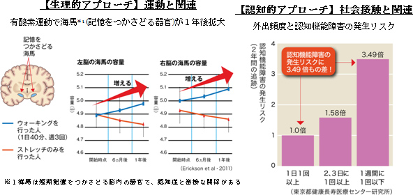 3. ウォーキングは認知症予防に効果的