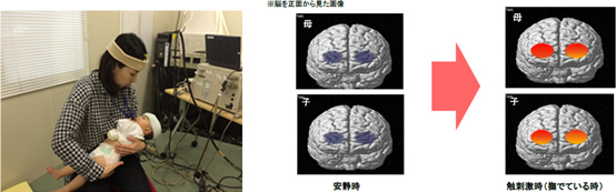 母子同時計測NIRS（ニルス）の試験風景・脳活動（イメージ）
