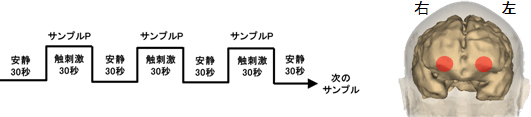 図１　測定の流れとNIRSの測定部位