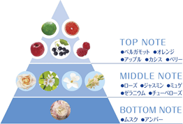 ホワイトシャボンの香りの10種類以上の香りイメージ