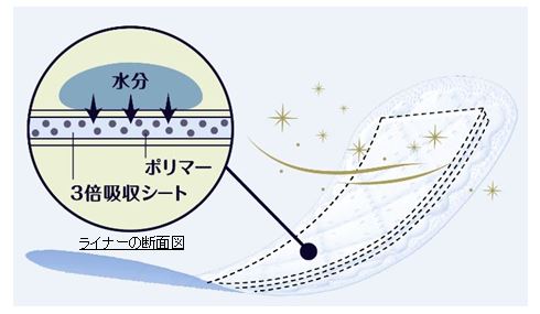 ライナーの断面図