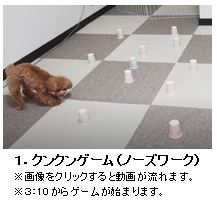 1.クンクンゲーム（ノーズワーク）