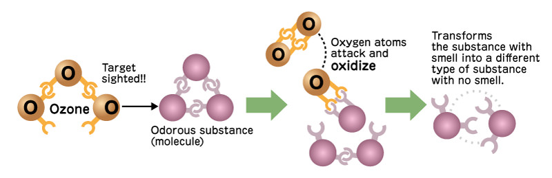 illust: How ozone removes odors?