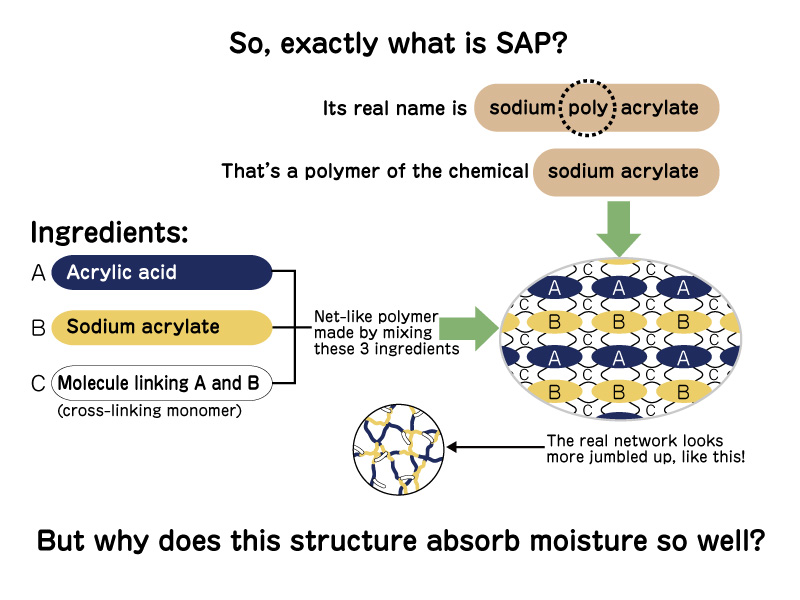 illust: So, exactly what is SAP?