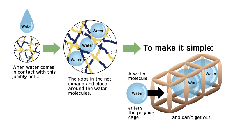 illust: So, exactly what is SAP? (2)