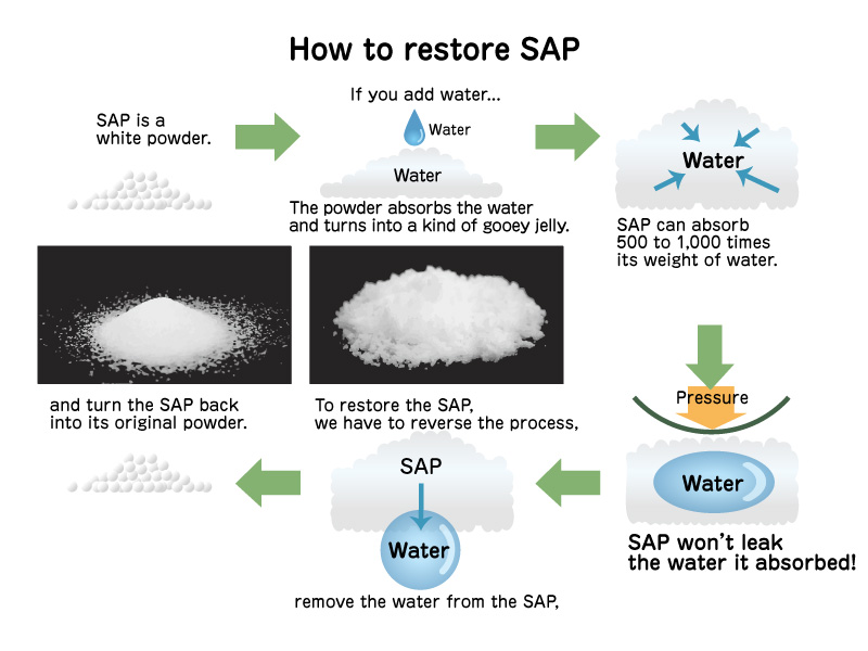 illust: How to restore SAP