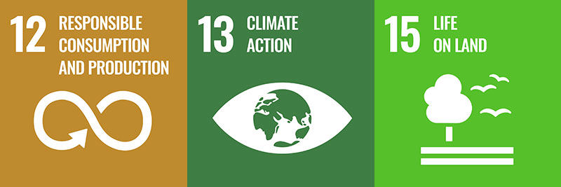 SDGs individual goal icons. #12, #13, #15