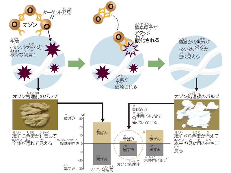 図解：オゾンで漂白する仕組み