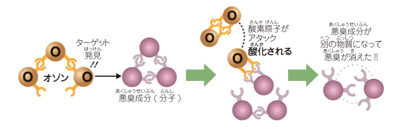 図解：オゾンで脱臭する仕組み