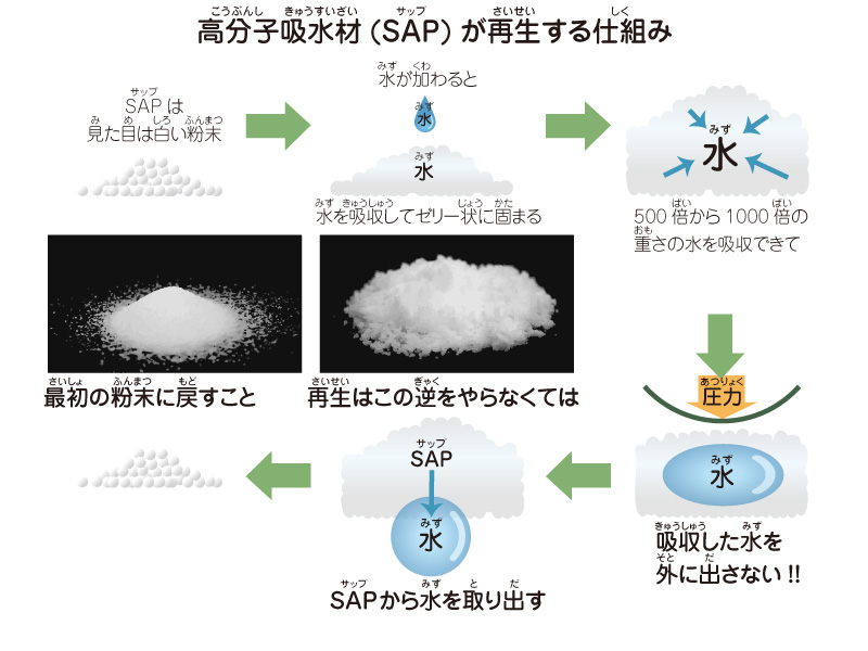 図解：高分子吸水材（SAP）が再生する仕組み