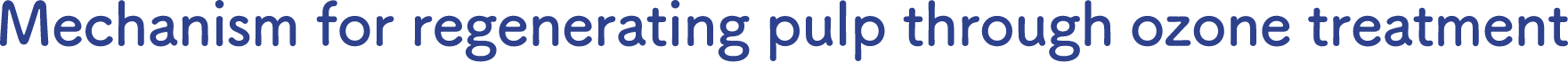 Mechanism for regenerating pulp through ozone treatment