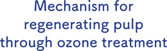 Mechanism for regenerating pulp through ozone treatment